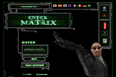 Enter the Matrix video game
