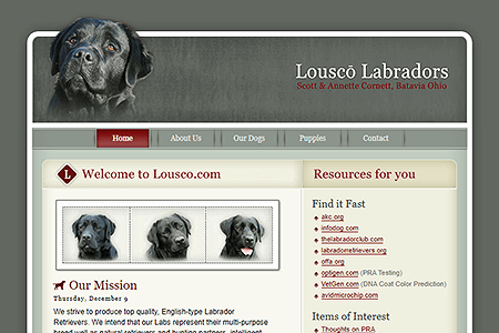 Lousco Labradors
