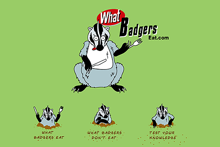 What Badgers Eat